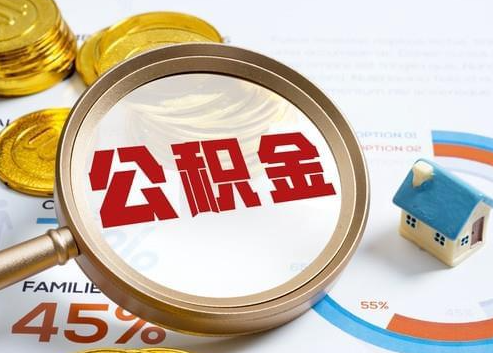 江门2025年政策调整对个人影响综合解析‌